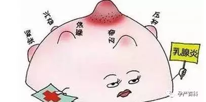 哺乳期乳腺炎，慎用抗生素！