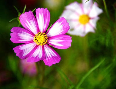 你是雇主喜歡這樣的阿姨嗎？