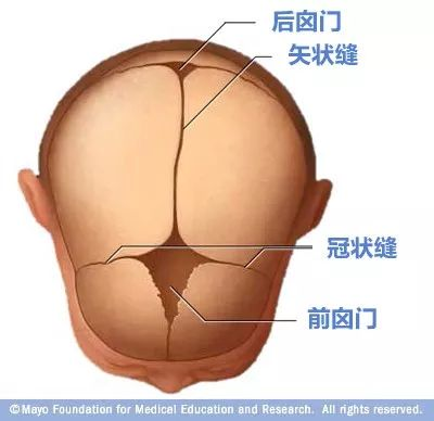 寶寶的囟門很重要，出現(xiàn)這3種異常要當(dāng)心！