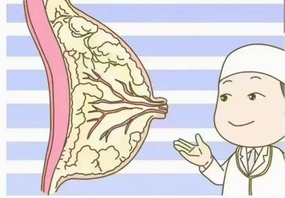 6步疏通奶結(jié)，告別乳房脹痛，月嫂必學(xué)！