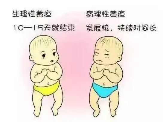 新生兒常見(jiàn)10種生理現(xiàn)象與7大護(hù)理要點(diǎn)！月嫂上崗前必讀！