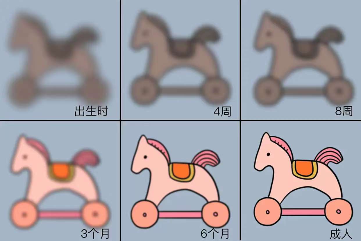 嬰兒視力發(fā)育過程圖